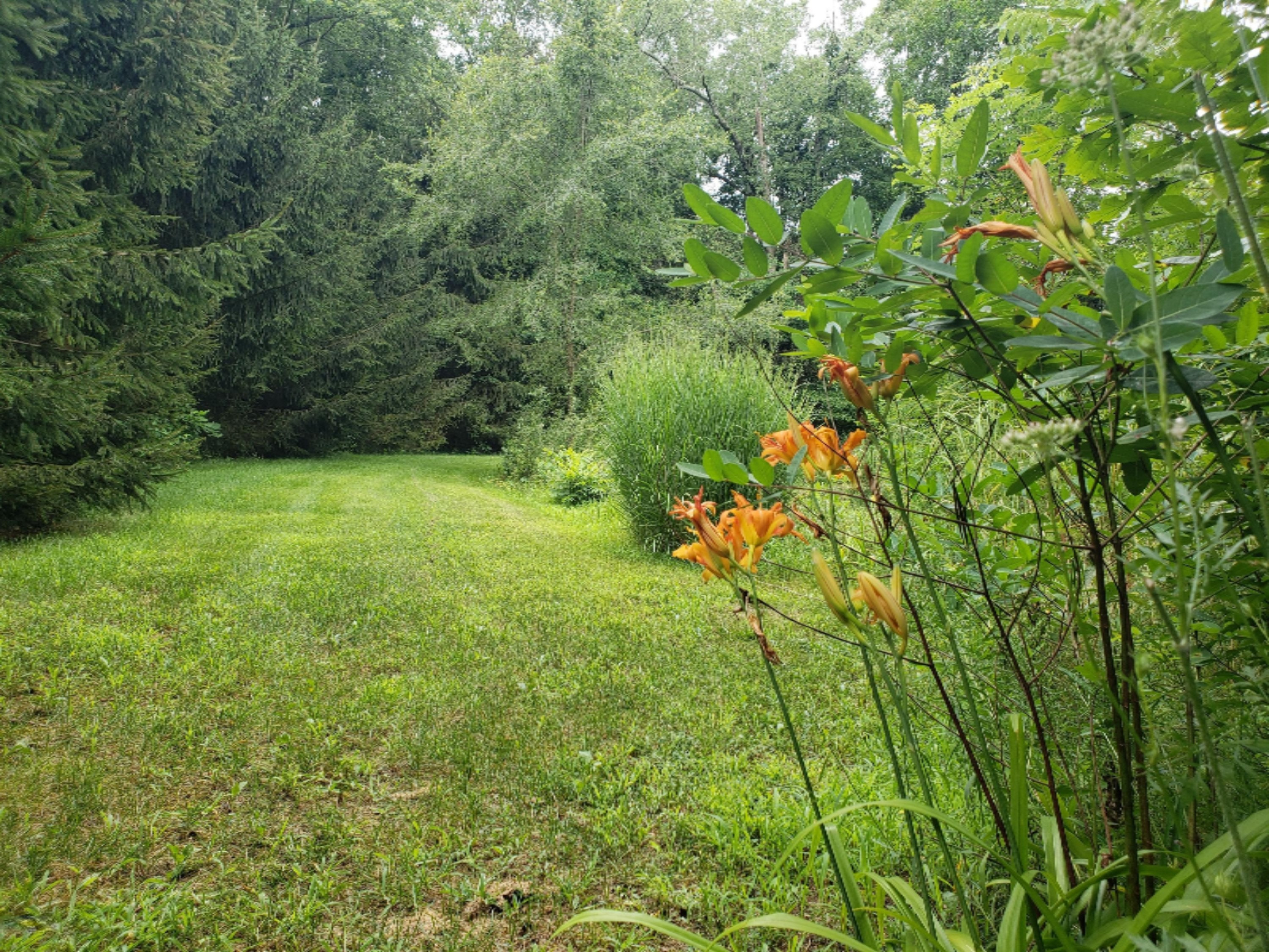 780 Riverside Drive Constantine, MI 49042 - Photo 34 of 54 33