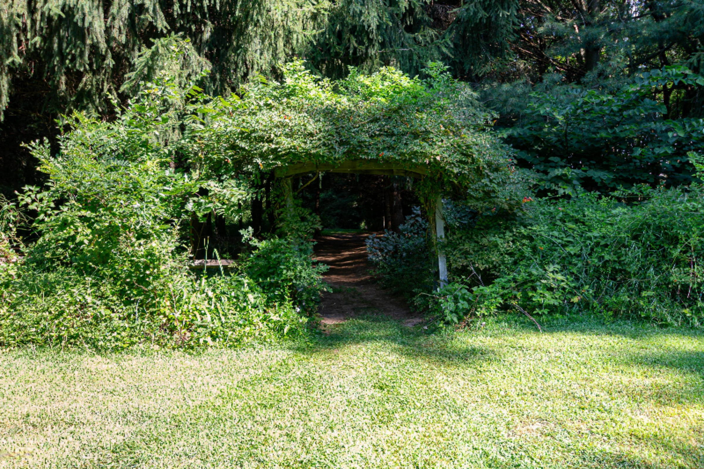 780 Riverside Drive Constantine, MI 49042 - Photo 46 of 54 780 Riverside Dr-106