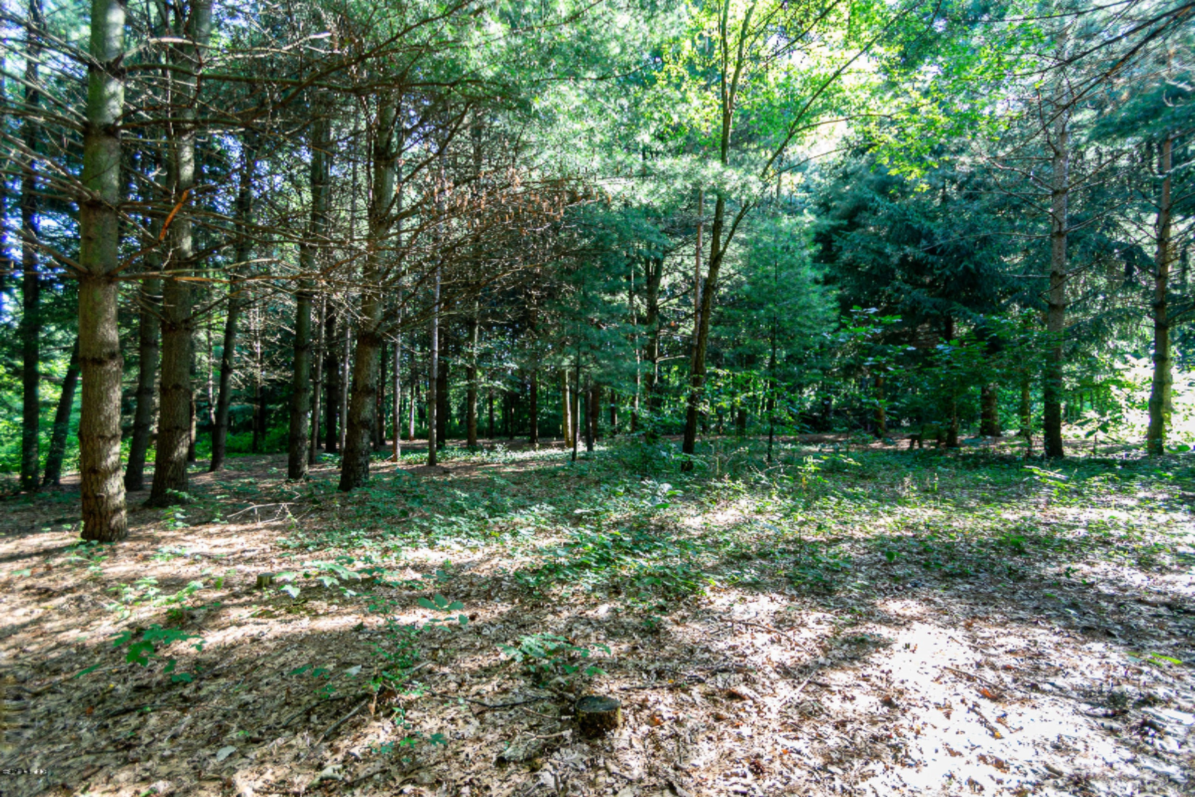 780 Riverside Drive Constantine, MI 49042 - Photo 52 of 54 780 Riverside Dr-114