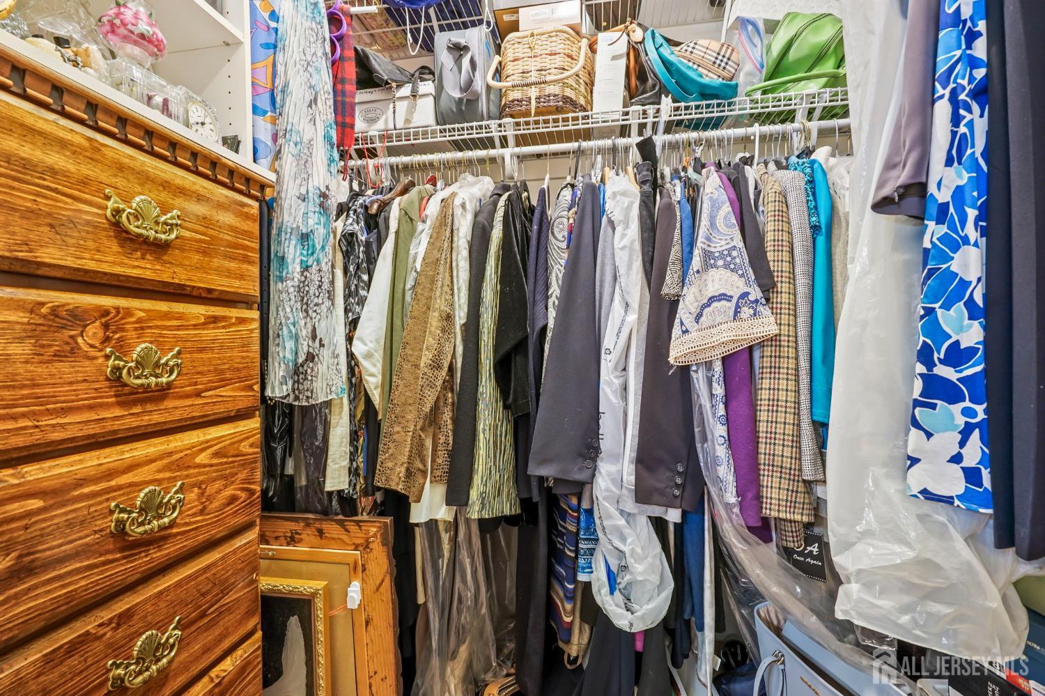 41 Rodak Circle Edison, NJ 08817 - Photo 23 of 28 a view of walk in closet with clothes