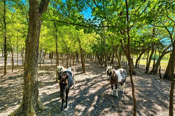 $1,150,000 | 1431 Farm To Market Road 85, Ennis, TX 75119