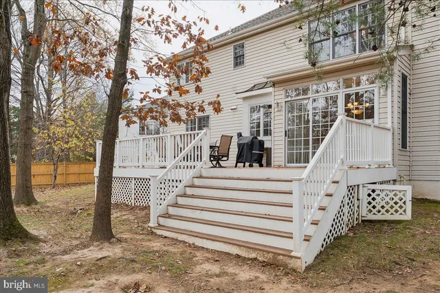 a view of yard with tree