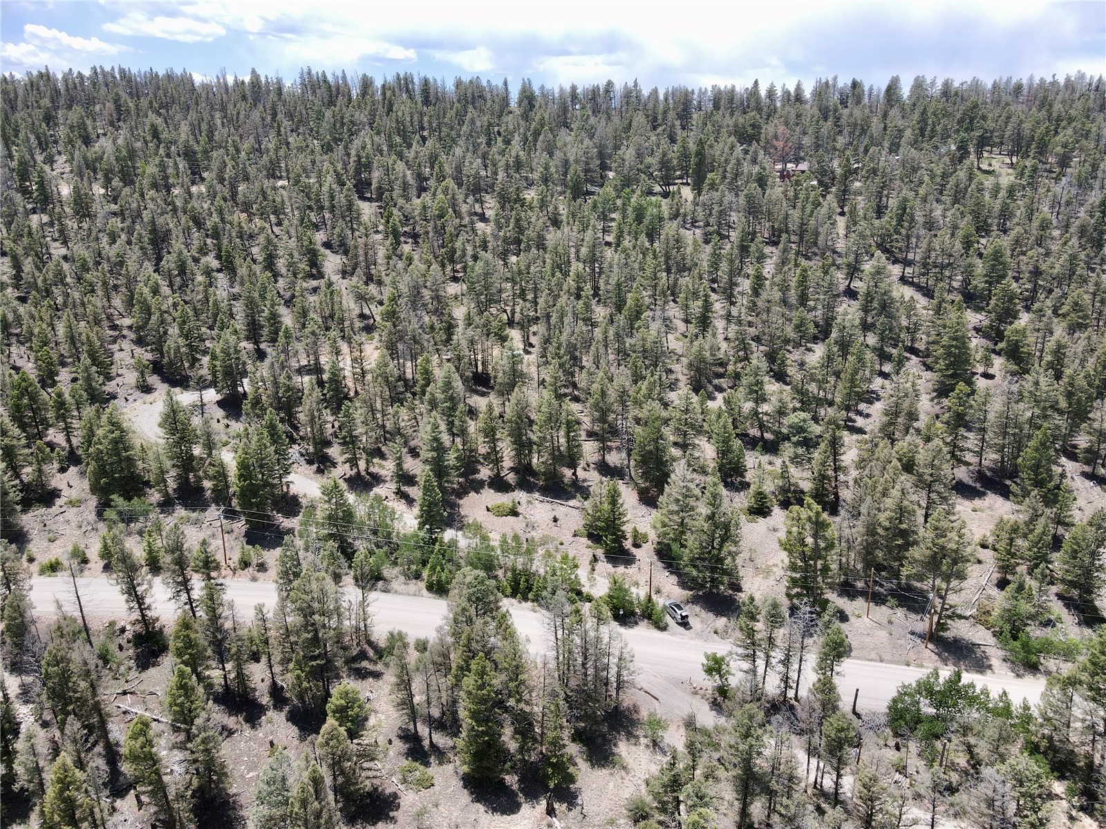 1445 Redhill Road Fairplay, CO 80440 - Photo 11 of 31 Bird's eye view of a heavily wooded area
