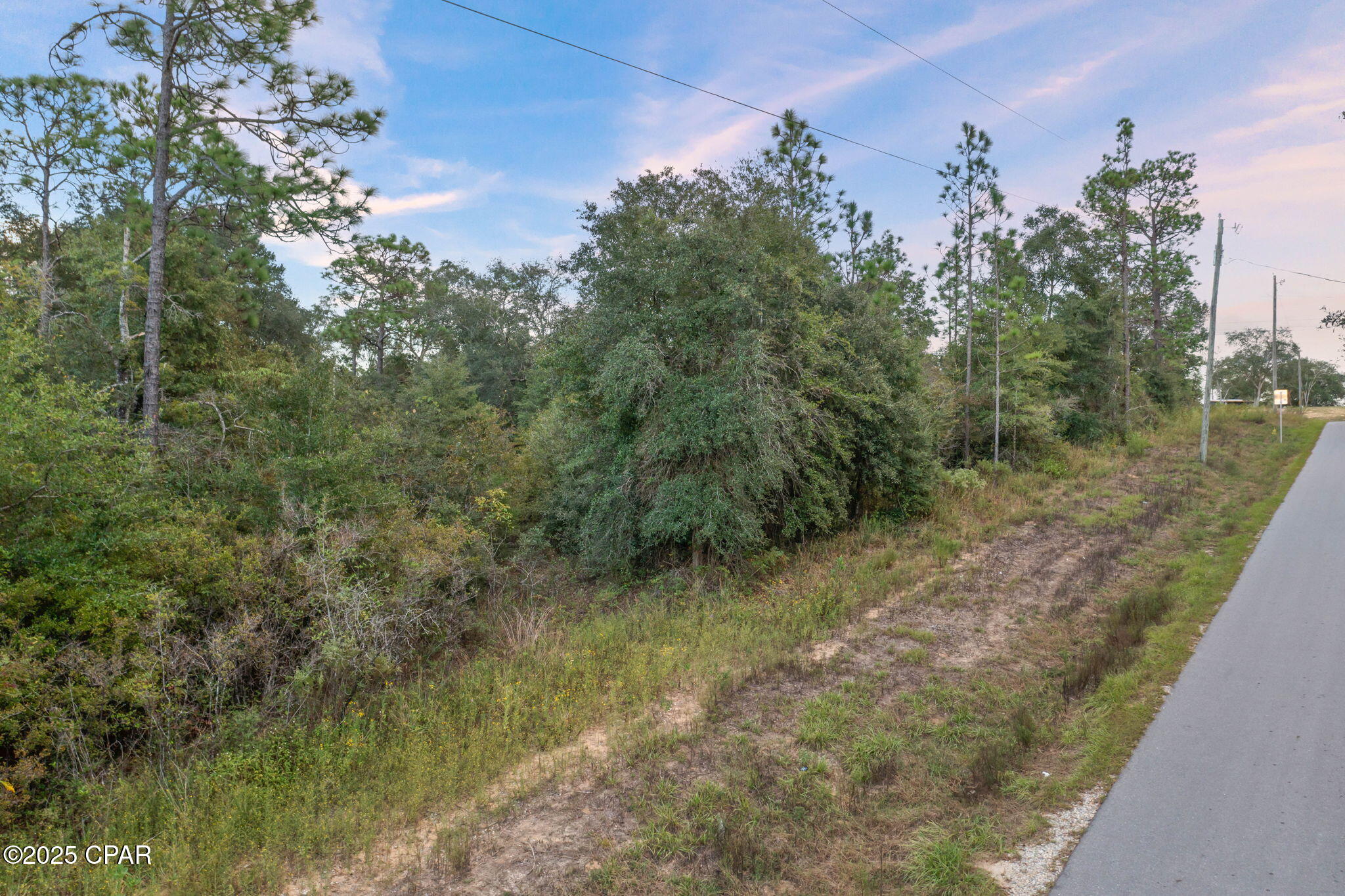 Tbd Moss Hill Road Chipley, FL 32428 - Photo 17 of 18