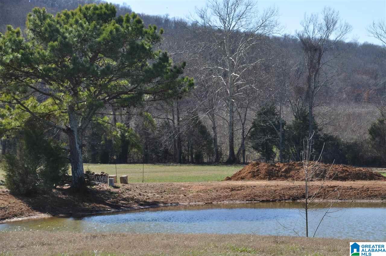 3787 Highway 11 Hayden Al Springville, AL 35146 - Photo 13 of 39