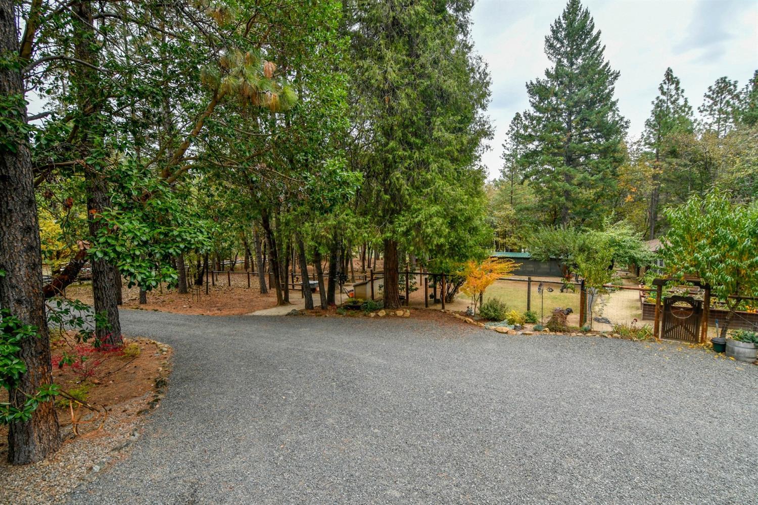 2275 Queens Branch Road Rogue River, OR 97537 - Photo 27 of 35 Additional Photo