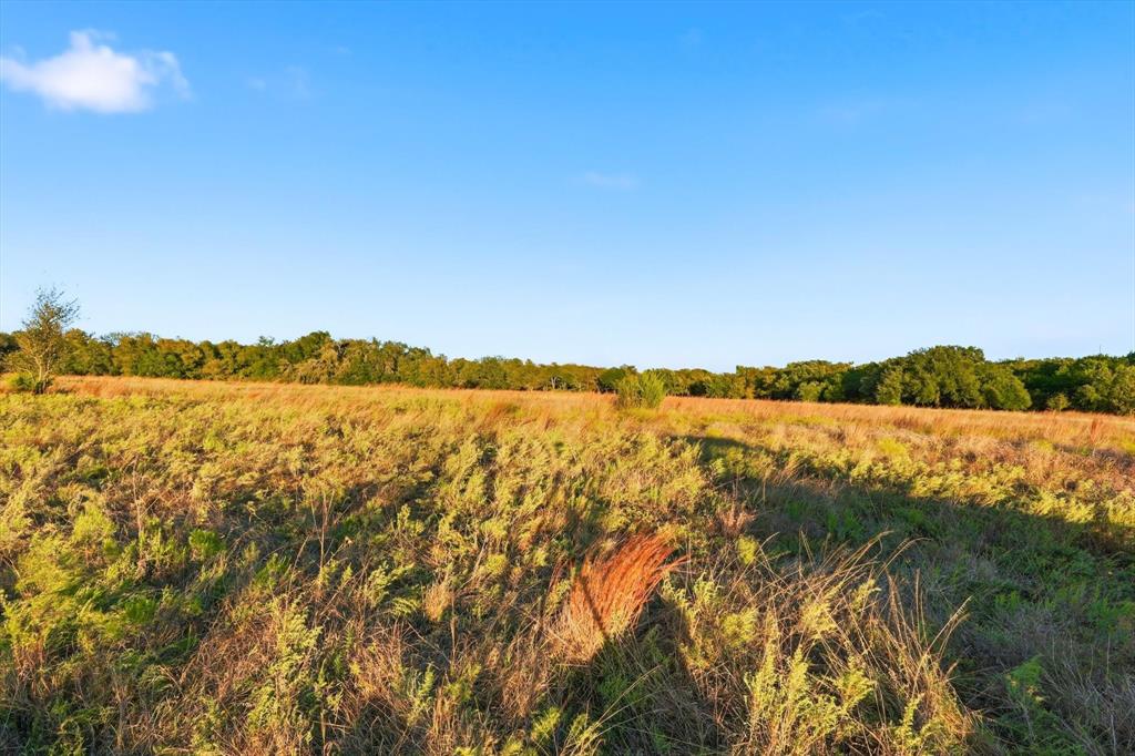 2401 Bear Creek Road Aledo, TX 76008 - Photo 23 of 37 View of local wilderness with rural landscape