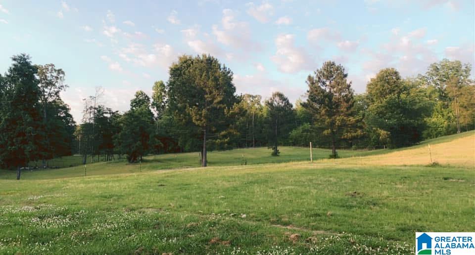 12839 Davis Creek Road McCalla, AL 35111 - Photo 1 of 5