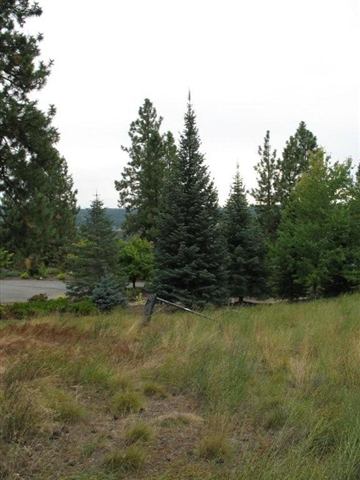 0 South Helena Street Spokane, WA 99203 - Photo 2 of 9