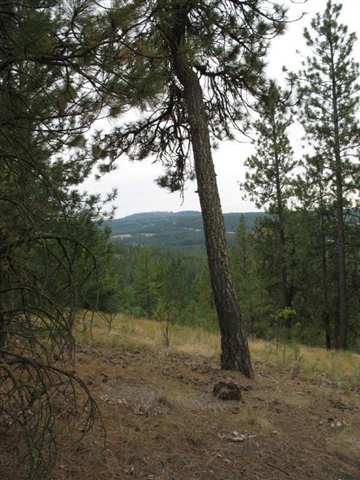 0 South Helena Street Spokane, WA 99203 - Photo 3 of 9
