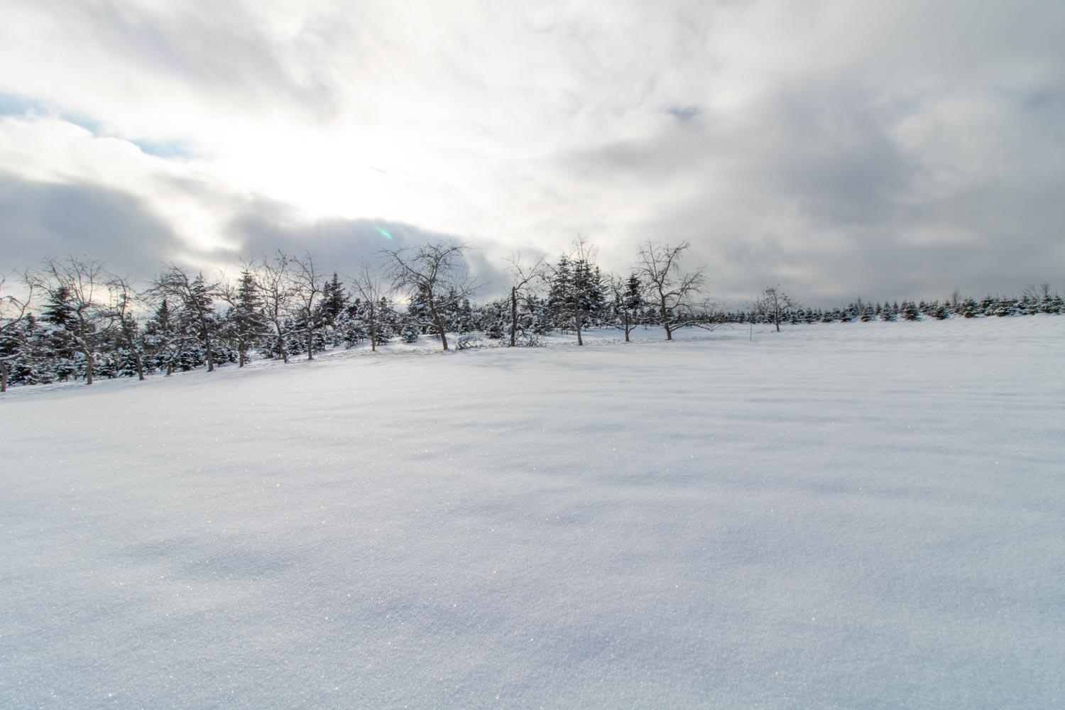 895 Leblanc Road Barton, VT 05822 - Photo 22 of 37