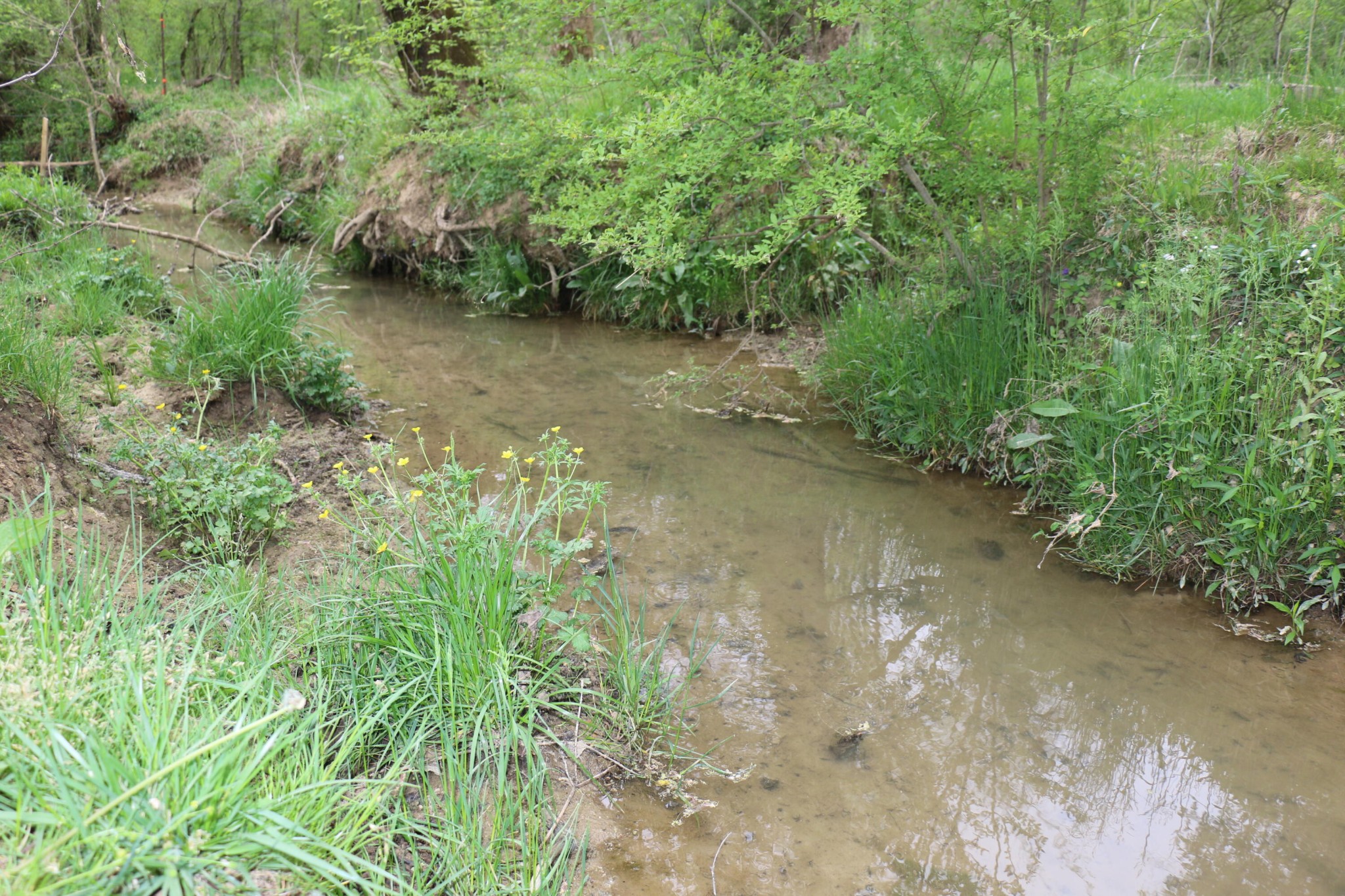 606 Campground Road Madisonville, TN 37354 - Photo 7 of 9