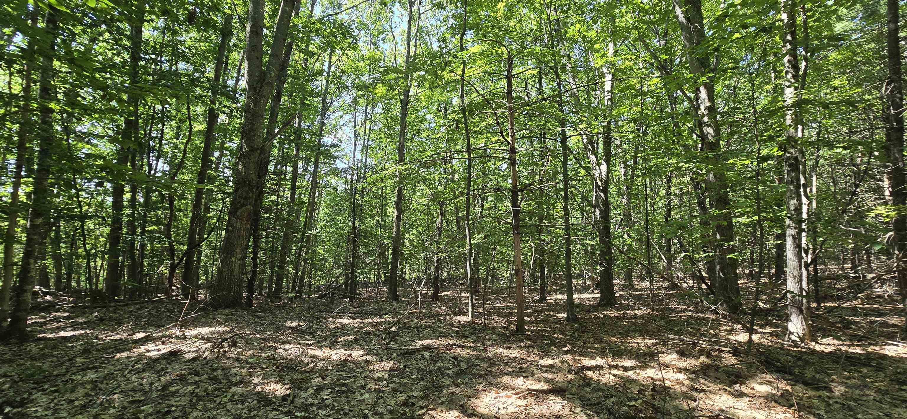 406-17 Guinea Ridge Road Gilmanton, NH 03237 - Photo 10 of 15 Gallery Image 10