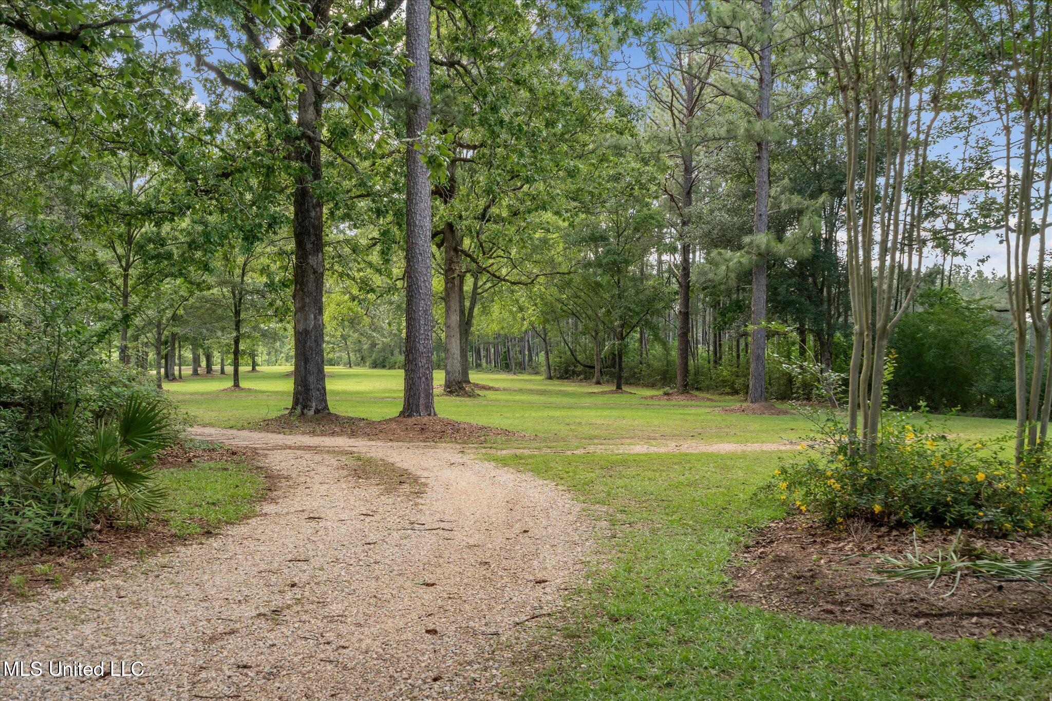 266 West P A Road North Moselle, MS 39459 - Photo 59 of 97 078-STA08239