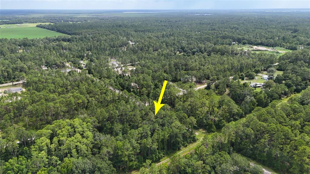 5446 Mango Avenue Bunnell, FL 32110 - Photo 11 of 17