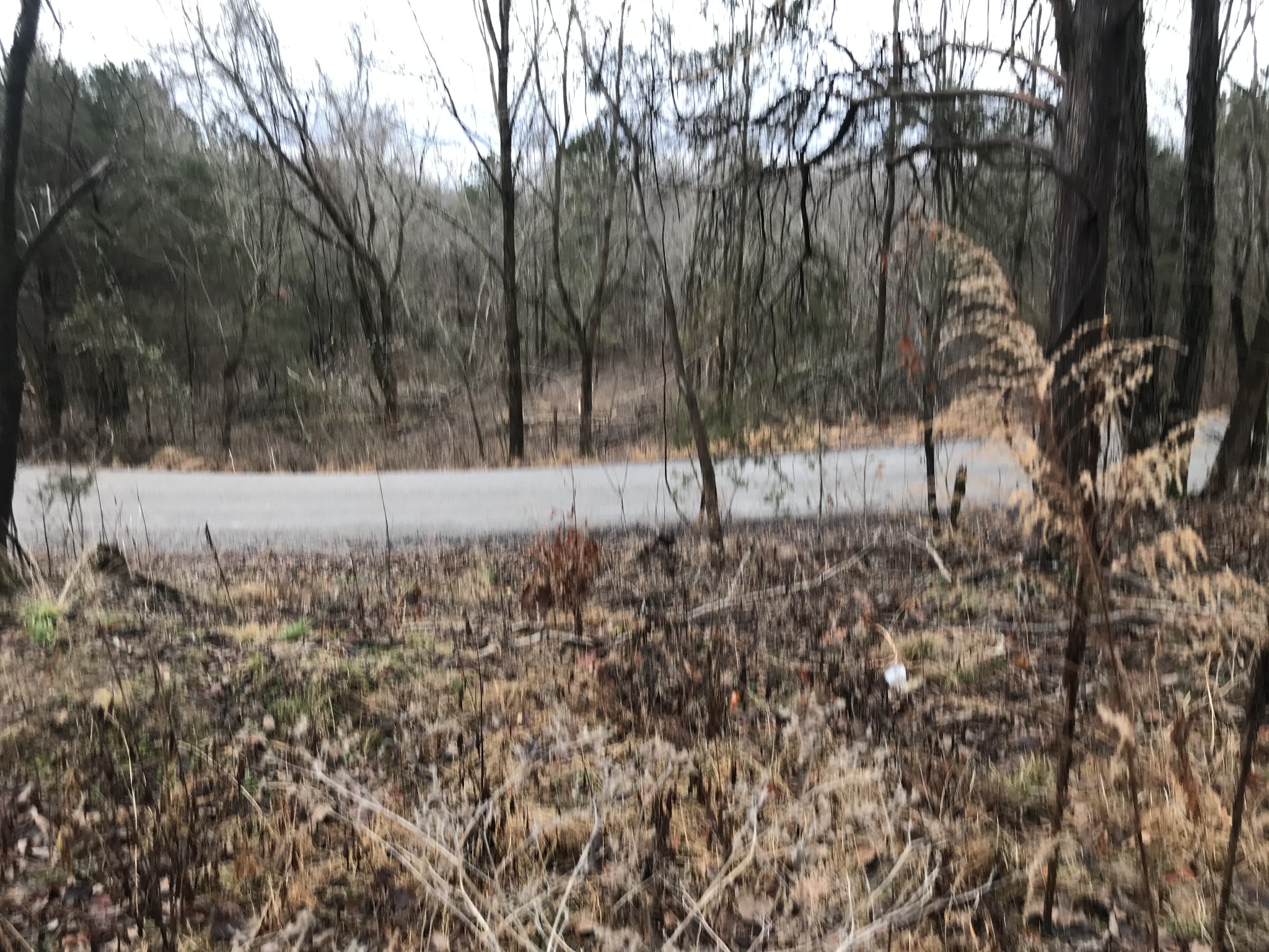 2 Alf Harris Road Prospect, TN 38477 - Photo 10 of 10
