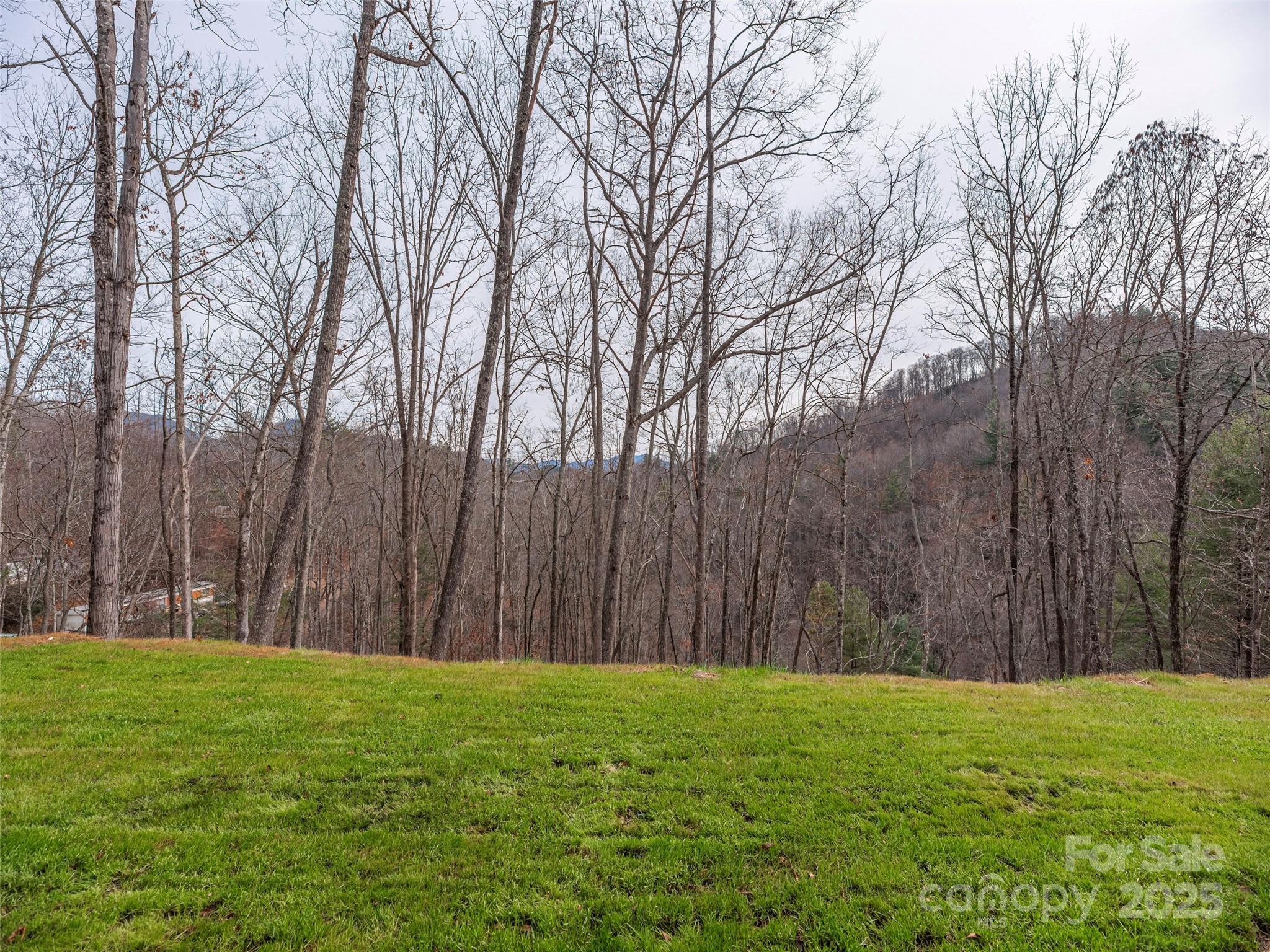55 Dean Riddle Drive Waynesville, NC 28785 - Photo 32 of 35 a backyard of a house with lots of green space