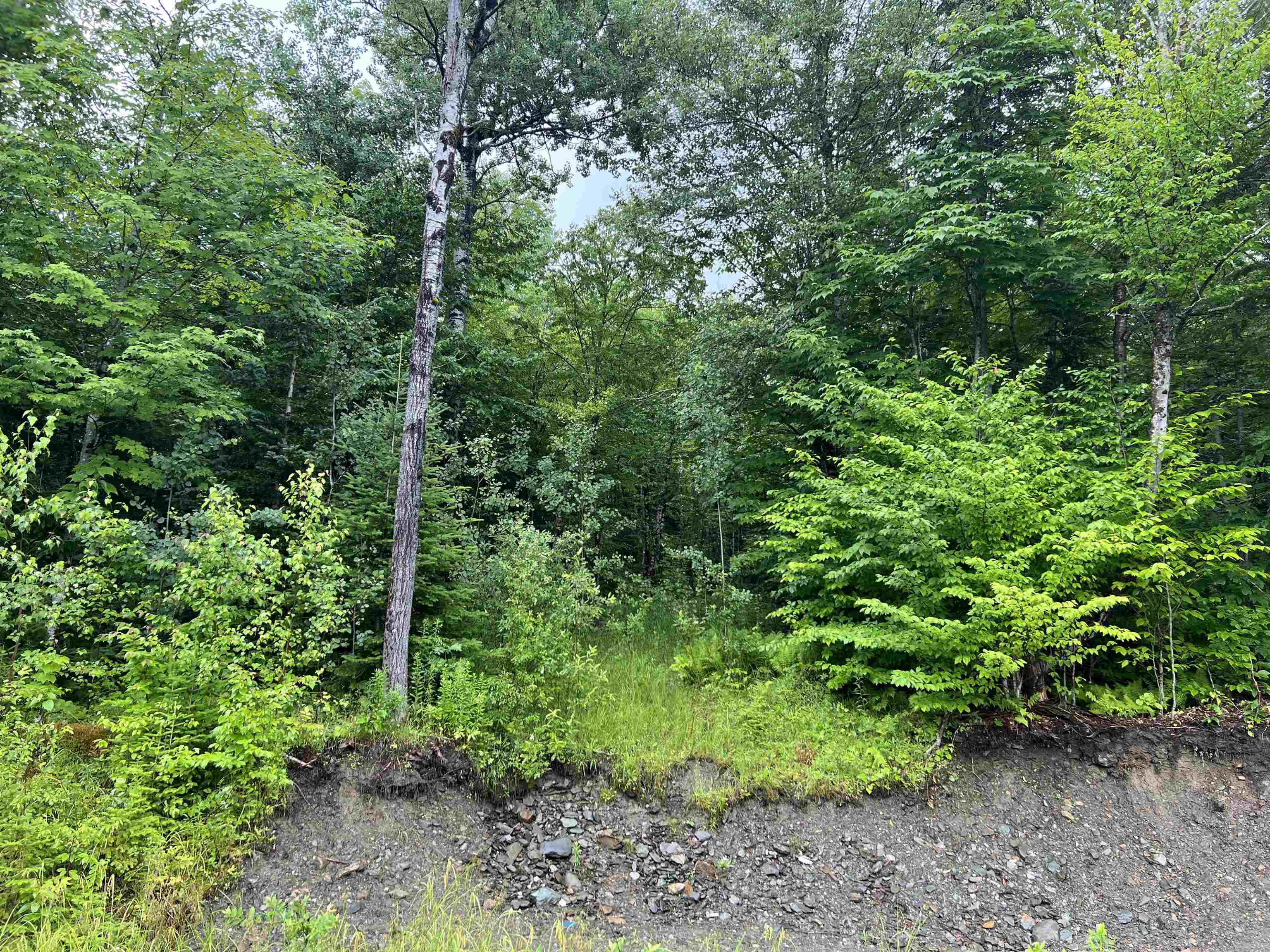 98 Sugar Hill Road Stewartstown, NH 03576 - Photo 3 of 12 Gallery Image 3