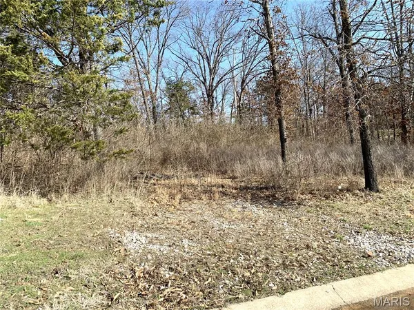 $59,000 | 0 Heard Court, Union, MO 63084