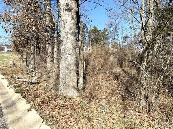 $59,000 | 0 Heard Court, Union, MO 63084