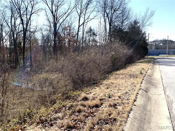 $59,000 | 0 Heard Court, Union, MO 63084