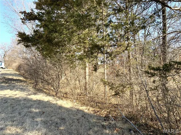 $59,000 | 0 Heard Court, Union, MO 63084