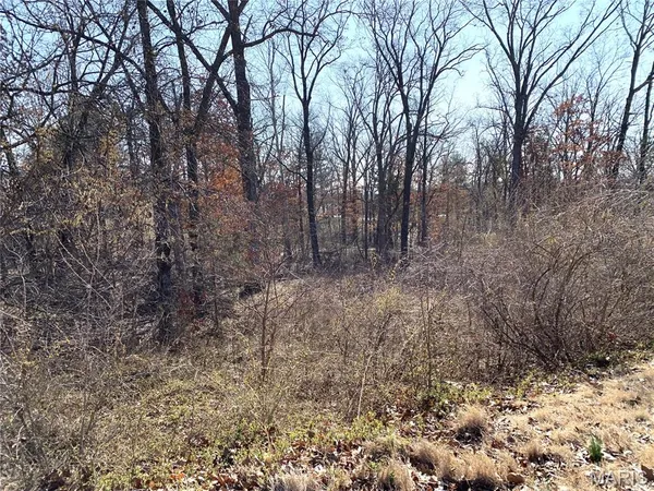 $59,000 | 0 Heard Court, Union, MO 63084