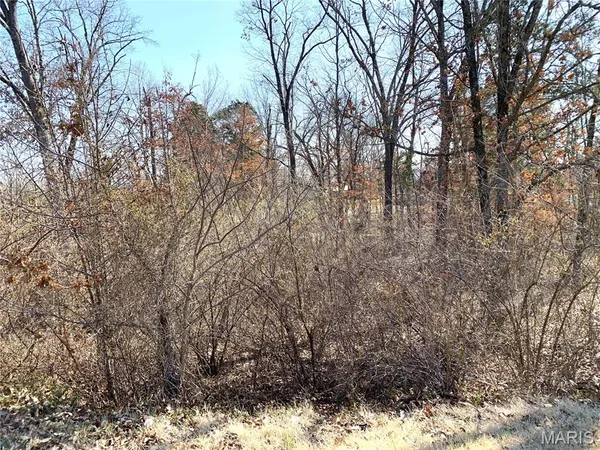 $59,000 | 0 Heard Court, Union, MO 63084