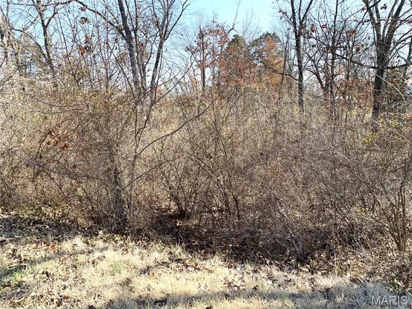 $59,000 | 0 Heard Court, Union, MO 63084