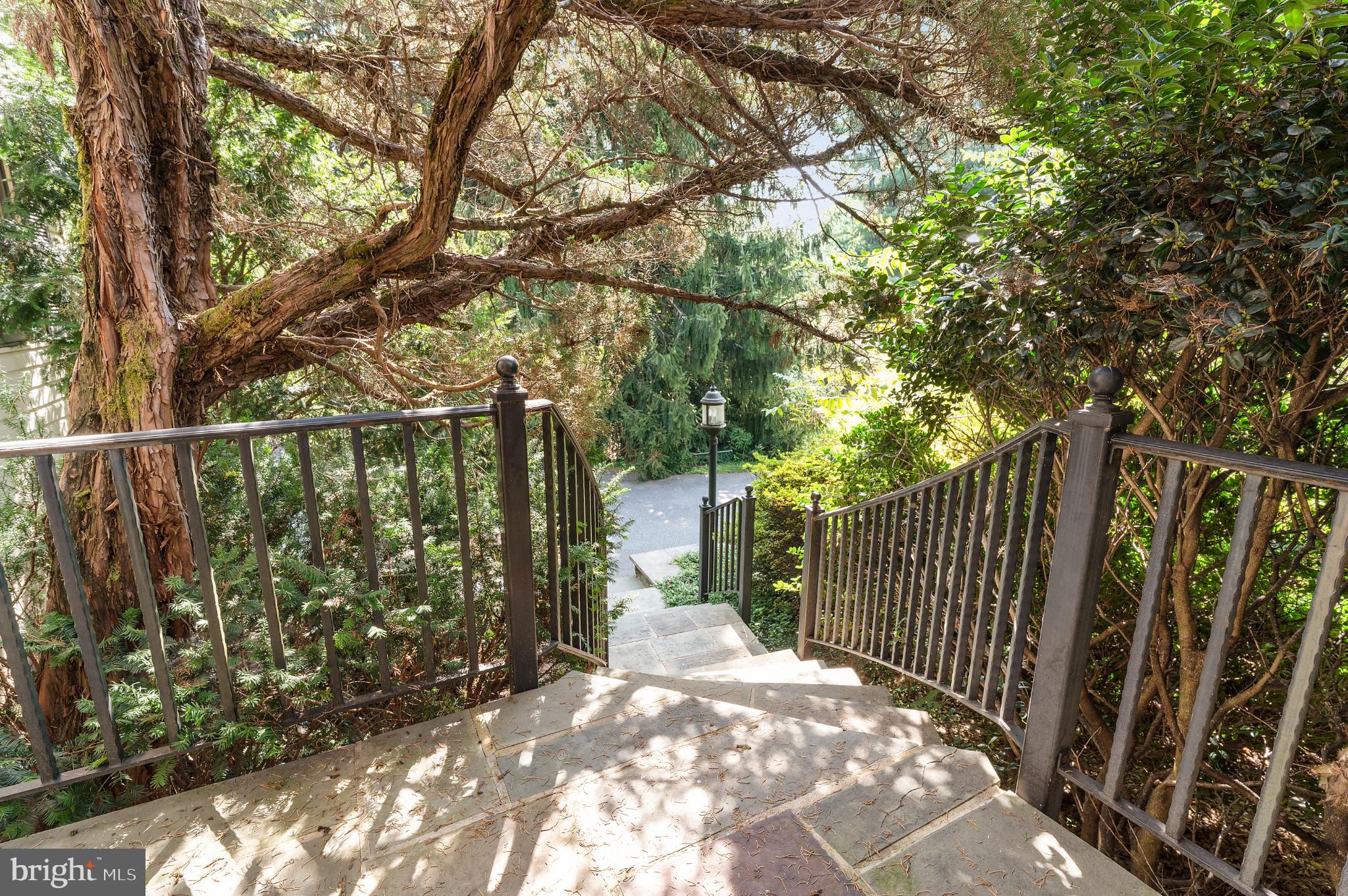 15729 Holly Grove Road Silver Spring, MD 20905 - Photo 4 of 83 a view of a pathway of a yard with wooden fence