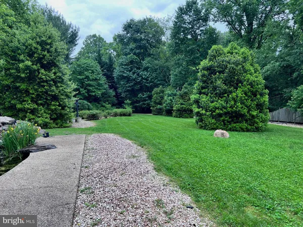 a view of a garden with plants