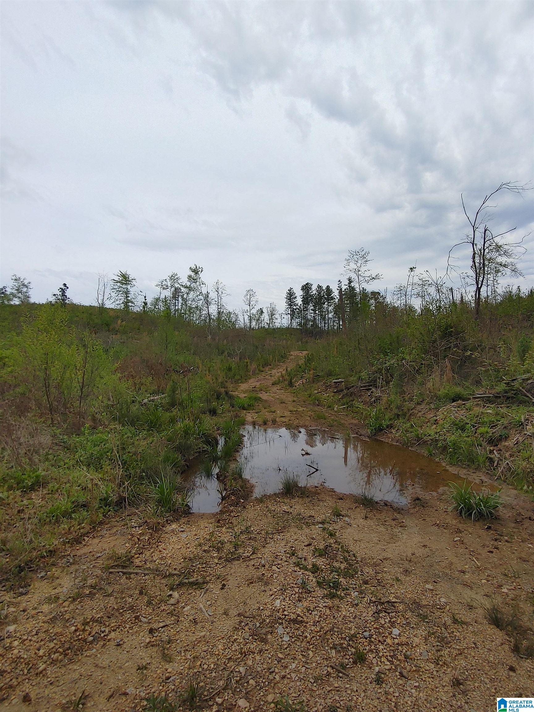 0 County Road 199, Unit 17 Clanton, AL 35045 - Photo 1 of 5
