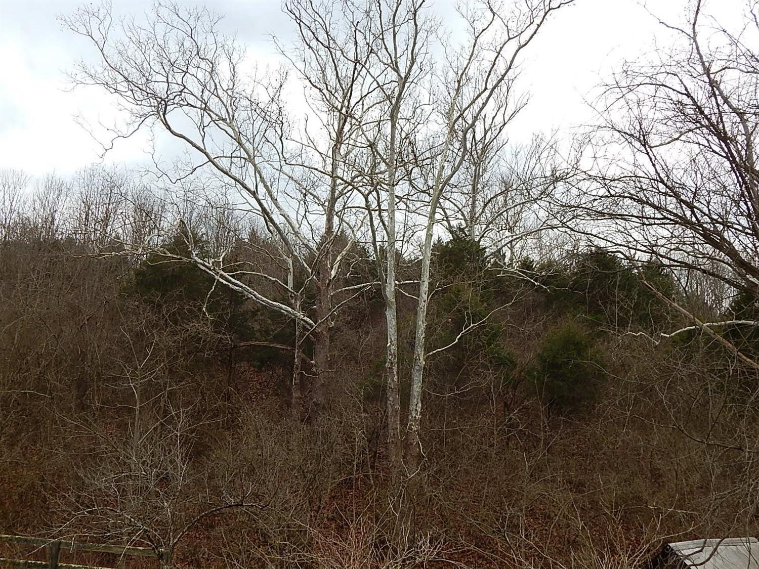 3991 Irvine Road Winchester, KY 40391 - Photo 54 of 61 Photo 56