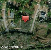 619 Ripwood Road Wilmington, NC 28405 - Photo 1 of 1 Aerial