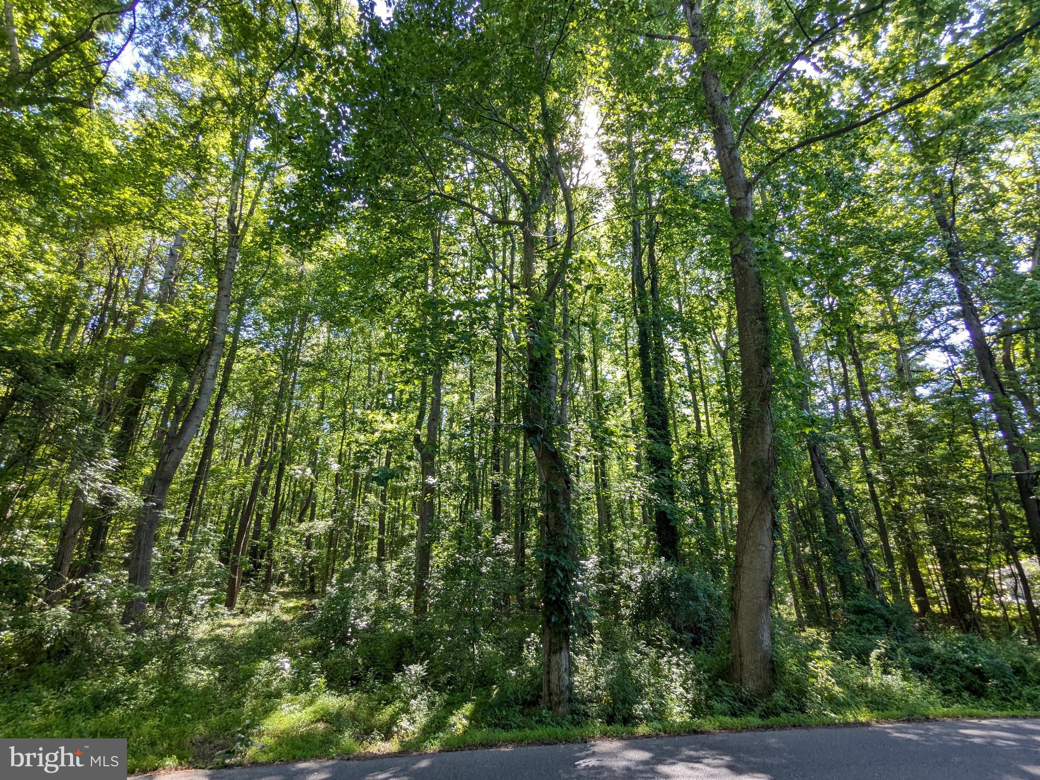 1260 Lottie Fowler Road Prince Frederick, MD 20678 - Photo 1 of 6