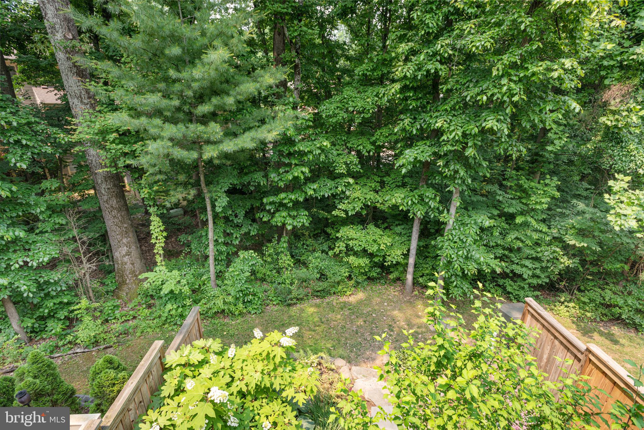 1382 Heritage Oak Way Reston, VA 20194 - Photo 26 of 31 Treed View