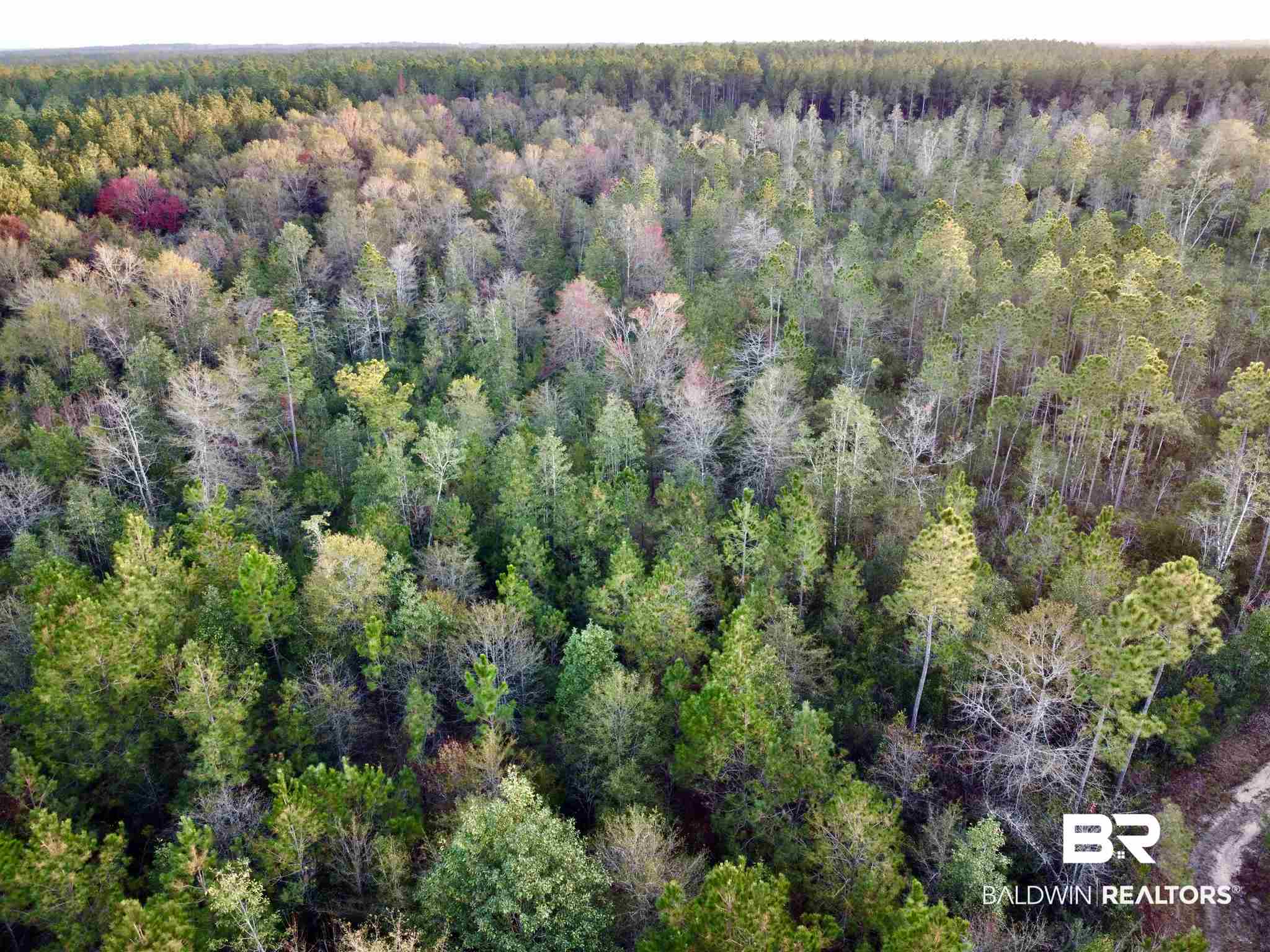 0 Country Road Fruitdale, AL 36539 - Photo 12 of 47