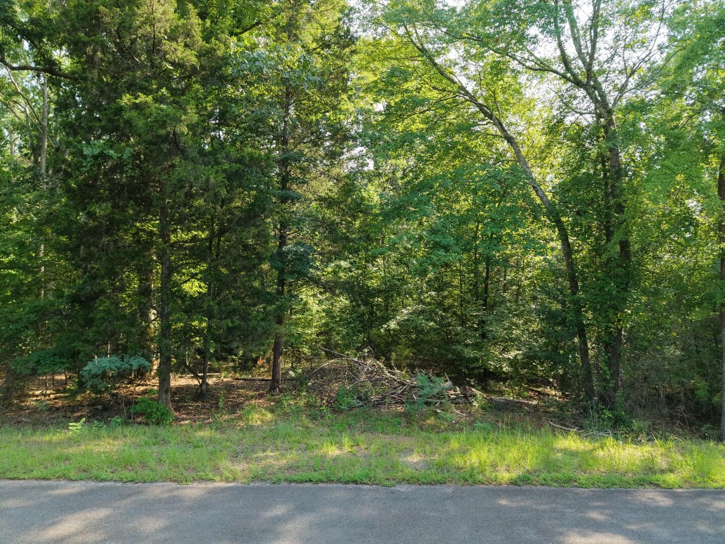 3096 State Rd S-20-33, Unit 3 Blair, SC 29015 - Photo 11 of 19 DJI_20260811172106_0309_D (Large)