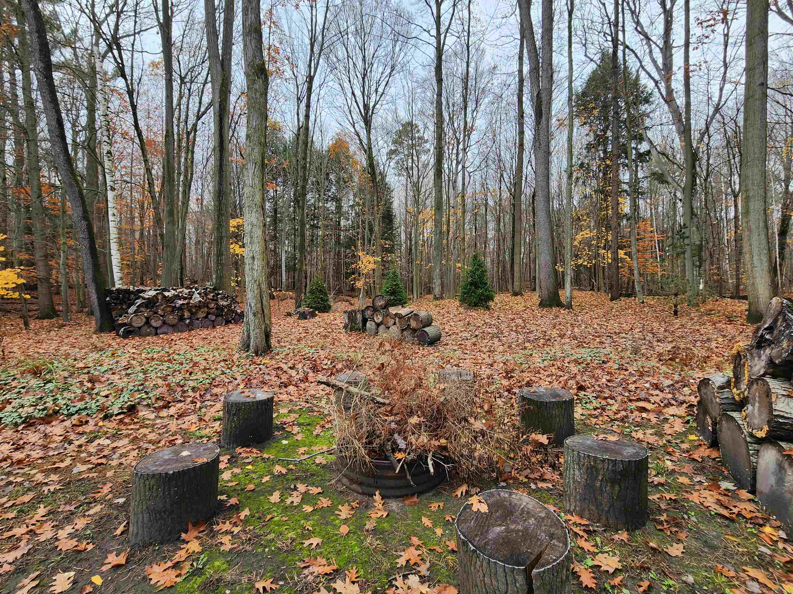 154 South Atchison Road Harrisville, MI 48740 - Photo 26 of 32 1928849-37f84cf3-2835-494c-959b-403932c56733.JPG