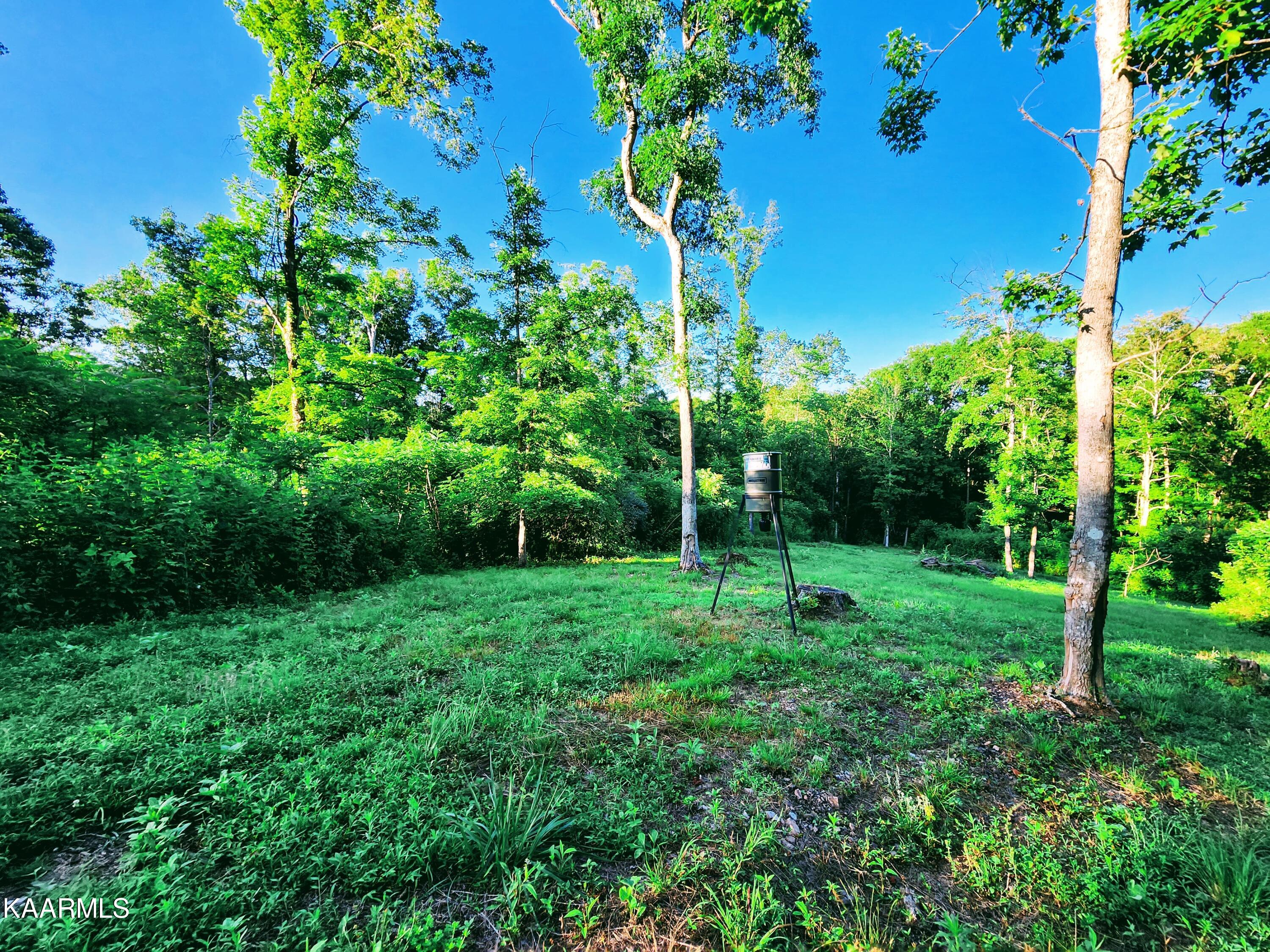 424 Poplar Springs Road Kingston, TN 37763 - Photo 12 of 59 Field