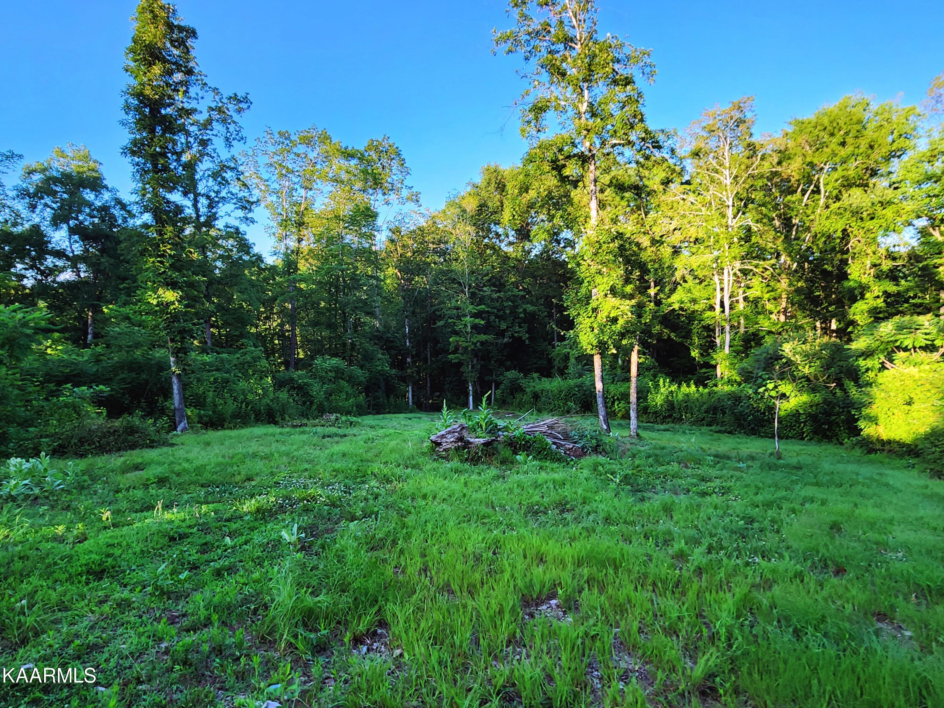 424 Poplar Springs Road Kingston, TN 37763 - Photo 15 of 59 Field