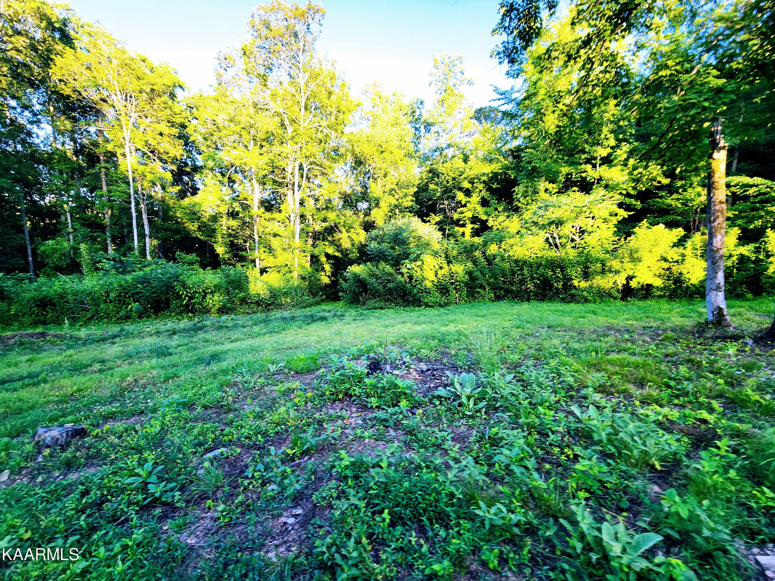 424 Poplar Springs Road Kingston, TN 37763 - Photo 16 of 59 Field