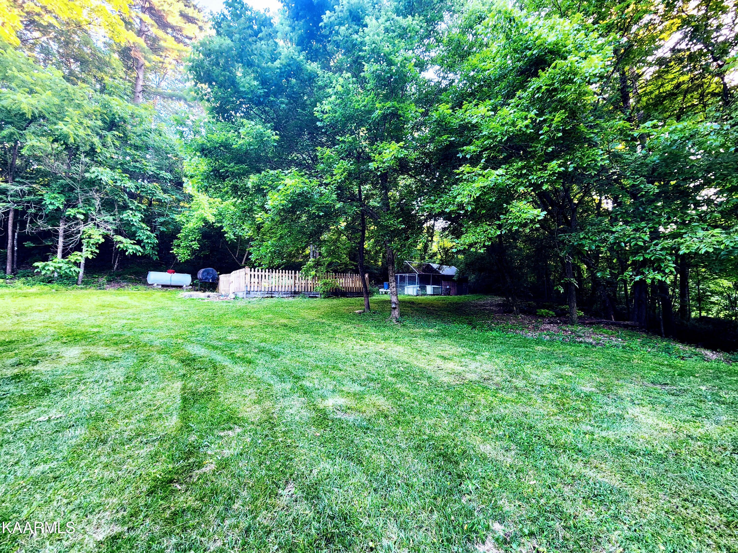 424 Poplar Springs Road Kingston, TN 37763 - Photo 17 of 59 Yard