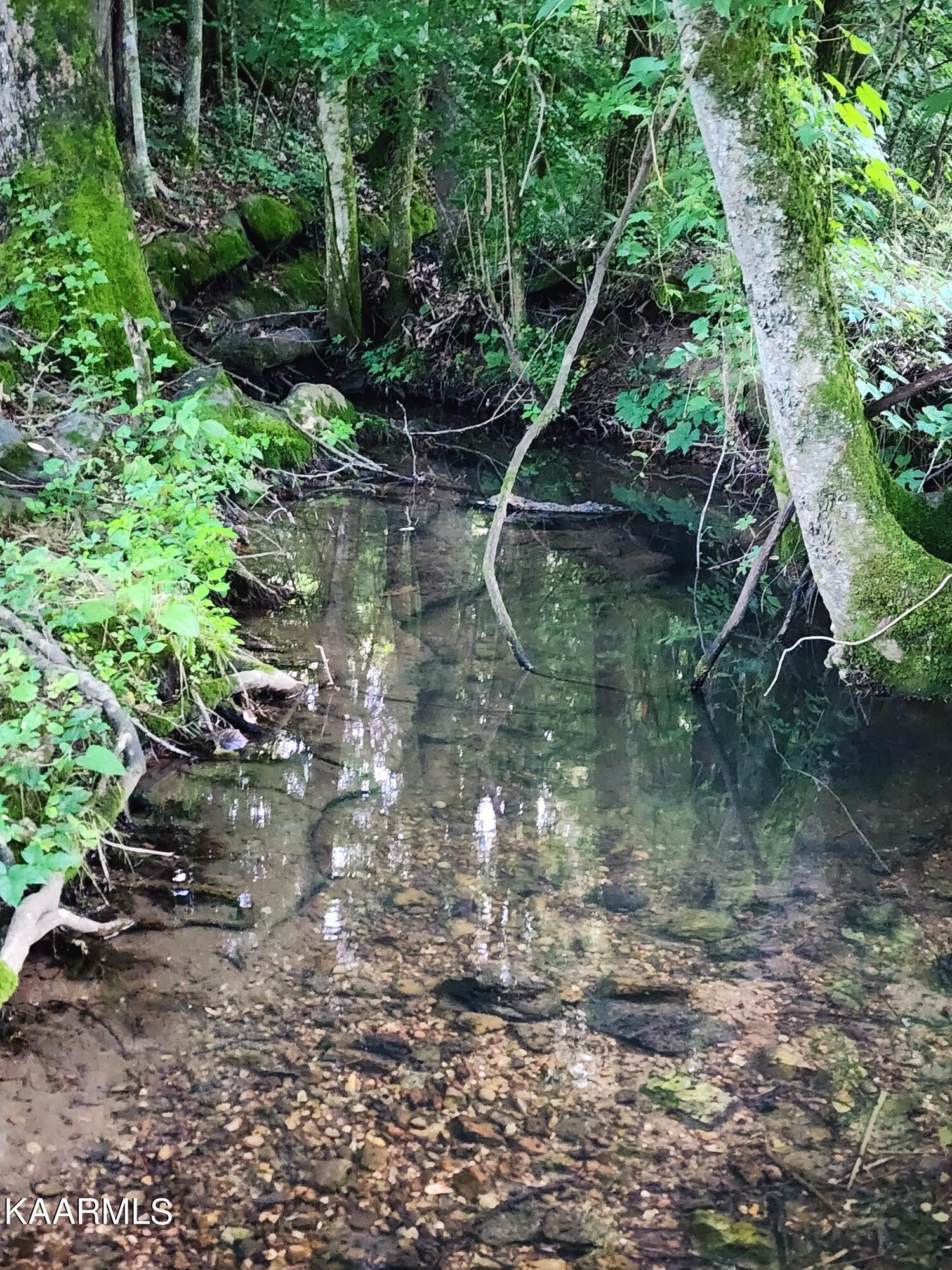 424 Poplar Springs Road Kingston, TN 37763 - Photo 18 of 59 Creek