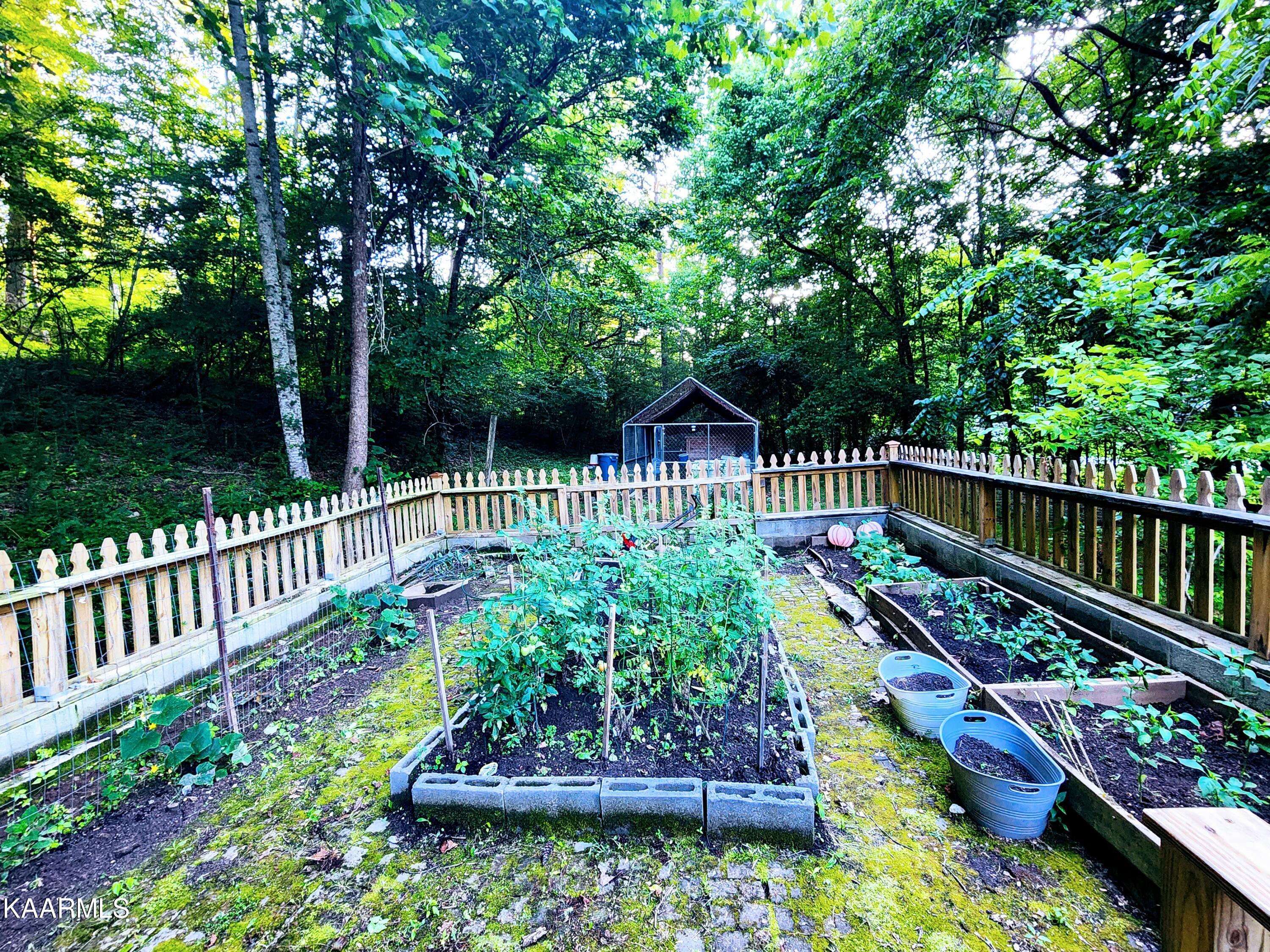 424 Poplar Springs Road Kingston, TN 37763 - Photo 20 of 59 Raised bed Garden