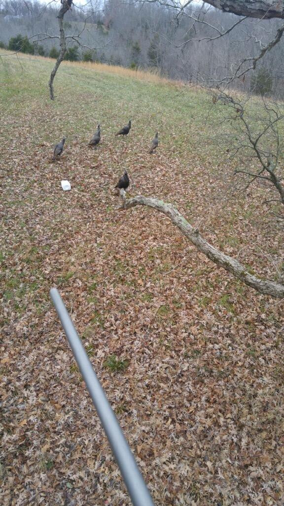 14150 Georgetown Road Stamping Ground, KY 40379 - Photo 3 of 7 Photo 3