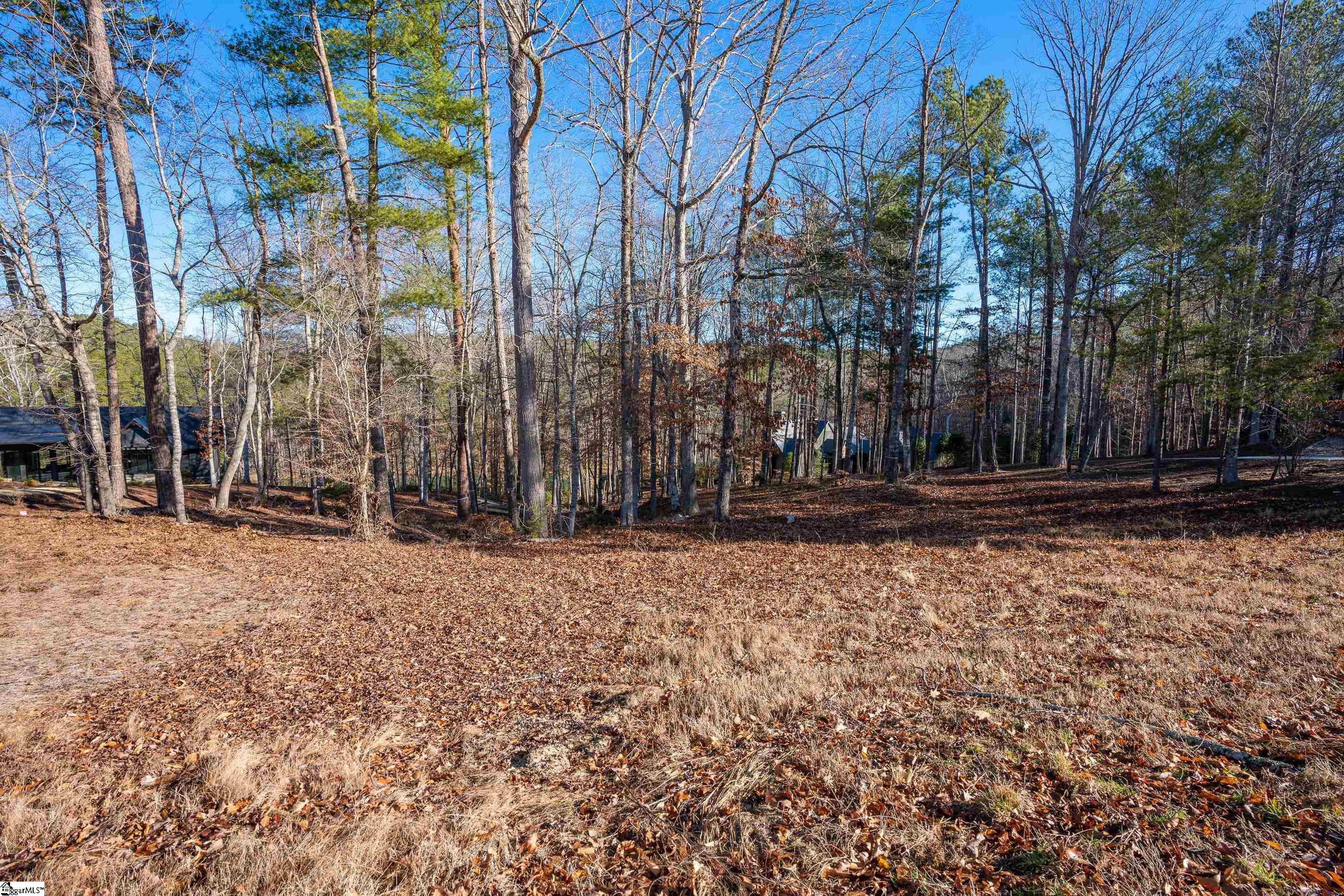 358 Peninsula Ridge Sunset, SC 29685 - Photo 24 of 34