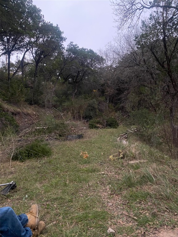26809 Blue Cove Road Marble Falls, TX 78654 - Photo 6 of 15 a view of a yard with a tree