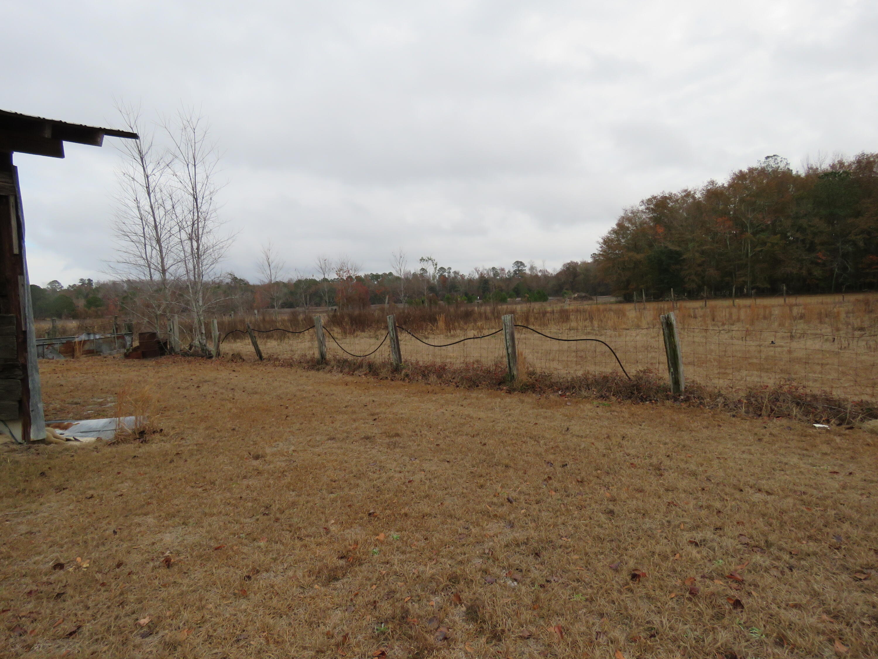 695 Hartzog Road Barnwell, SC 29812 - Photo 11 of 21 IMG_9607