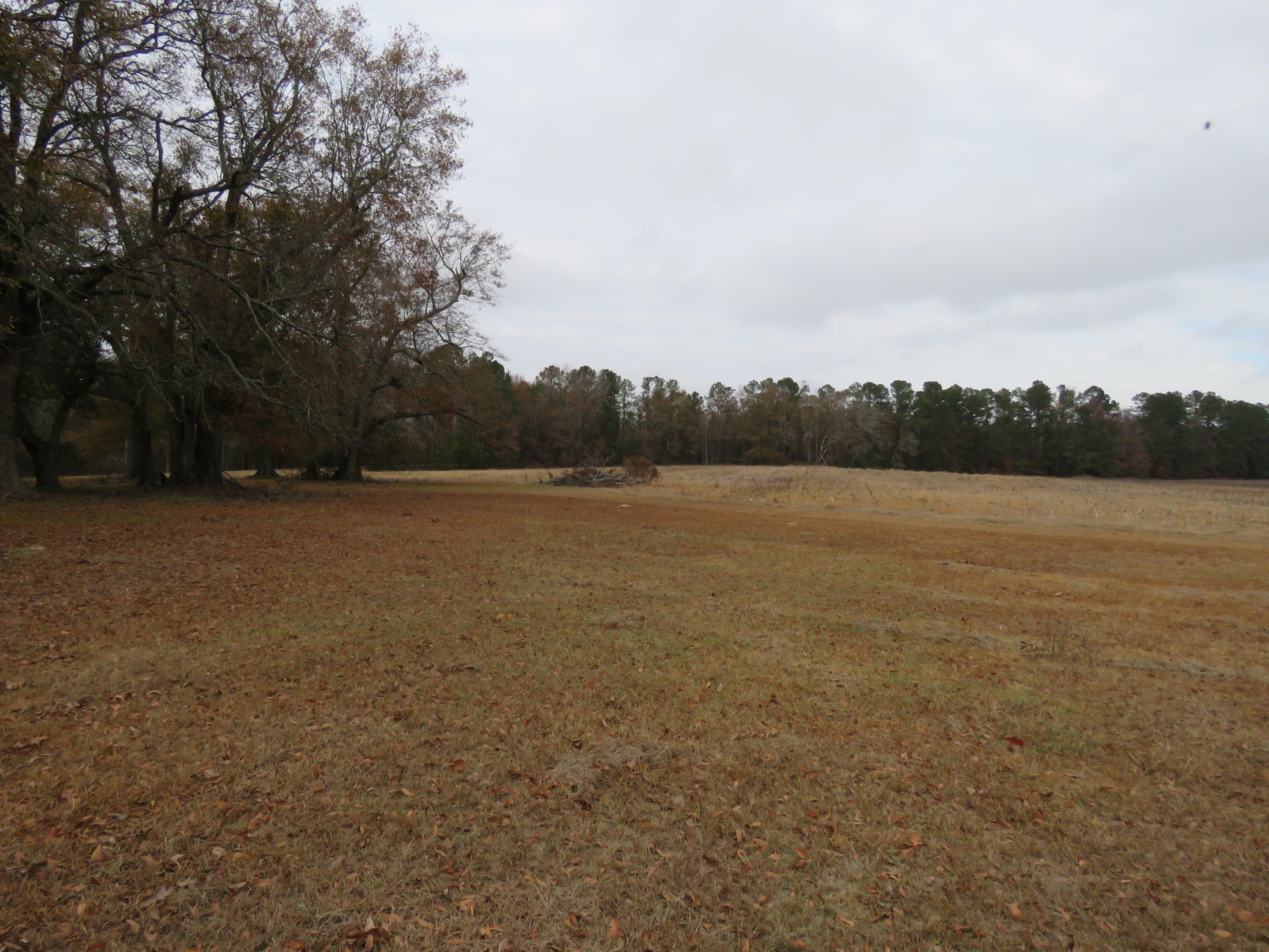 695 Hartzog Road Barnwell, SC 29812 - Photo 7 of 21 IMG_9614